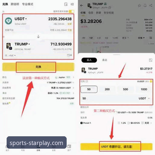 亚星娱乐官网安全吗 亚星娱乐平台安全性实用评估指南:从注册到使用必备知识
